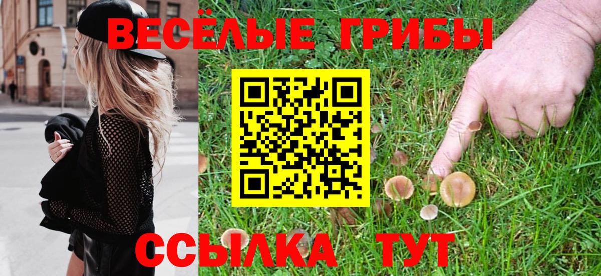 Галлюциногенные грибы ЛСД Лесосибирск