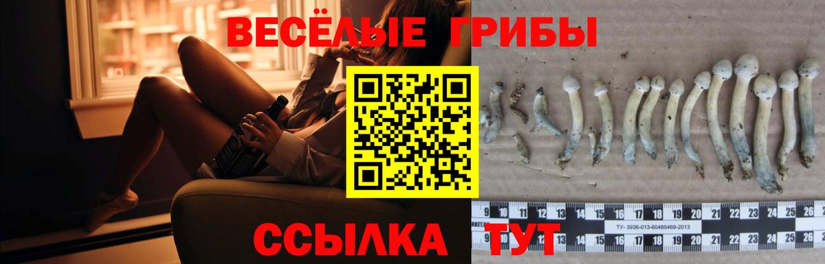 Галлюциногенные грибы MAGIC MUSHROOMS  Псилоцибиновые грибы Magic Shrooms  Вход с VPN  Лесосибирск 